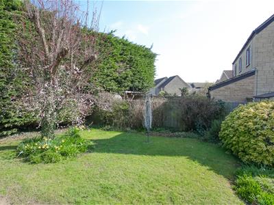 Picture 13